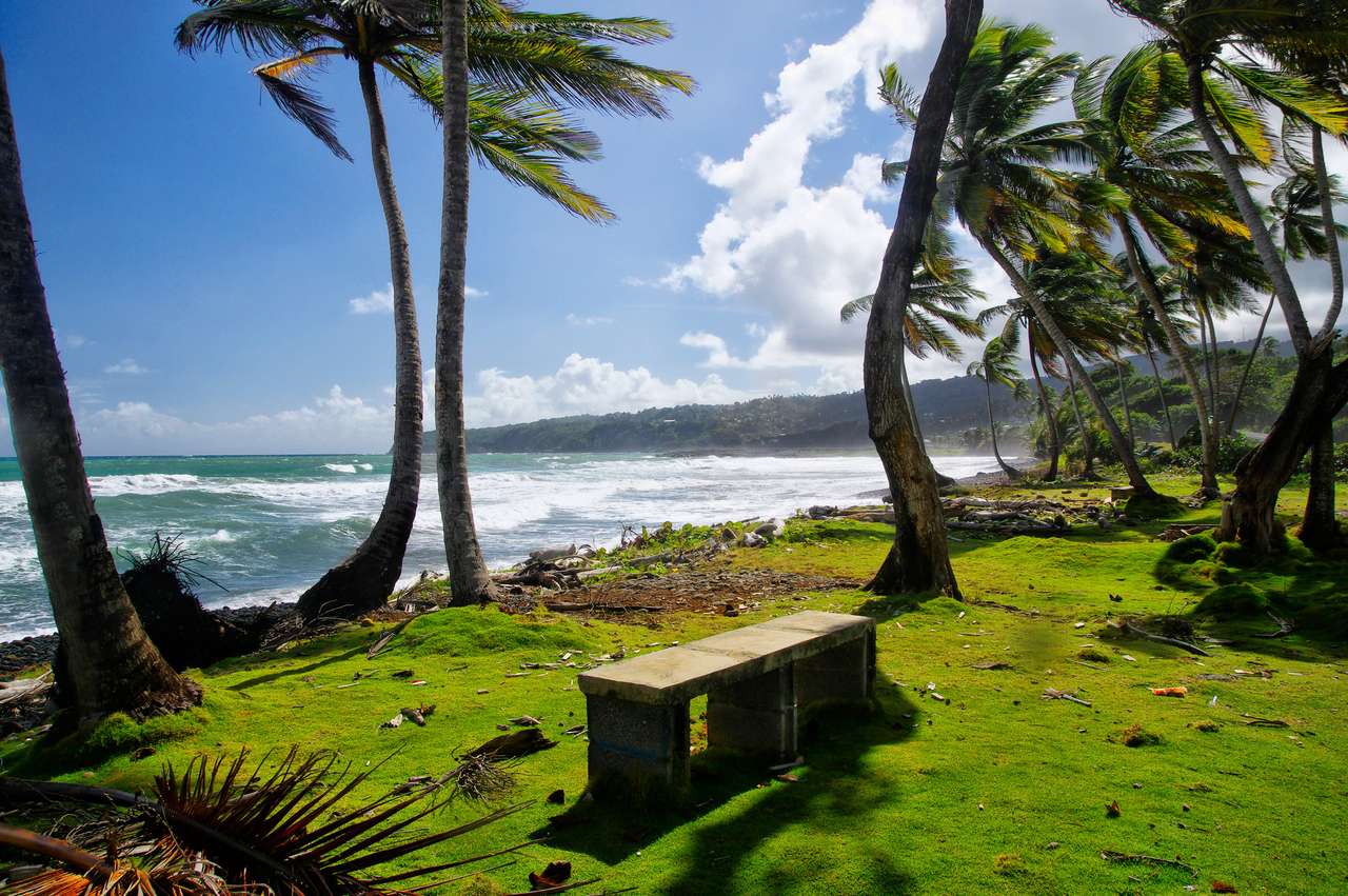 dzika plaża w zatoce Londonderry na wyspie Dominika puzzle online