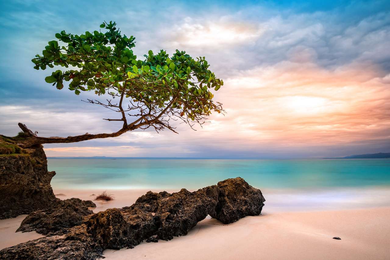 Egzotyczna karaibska plaża puzzle online