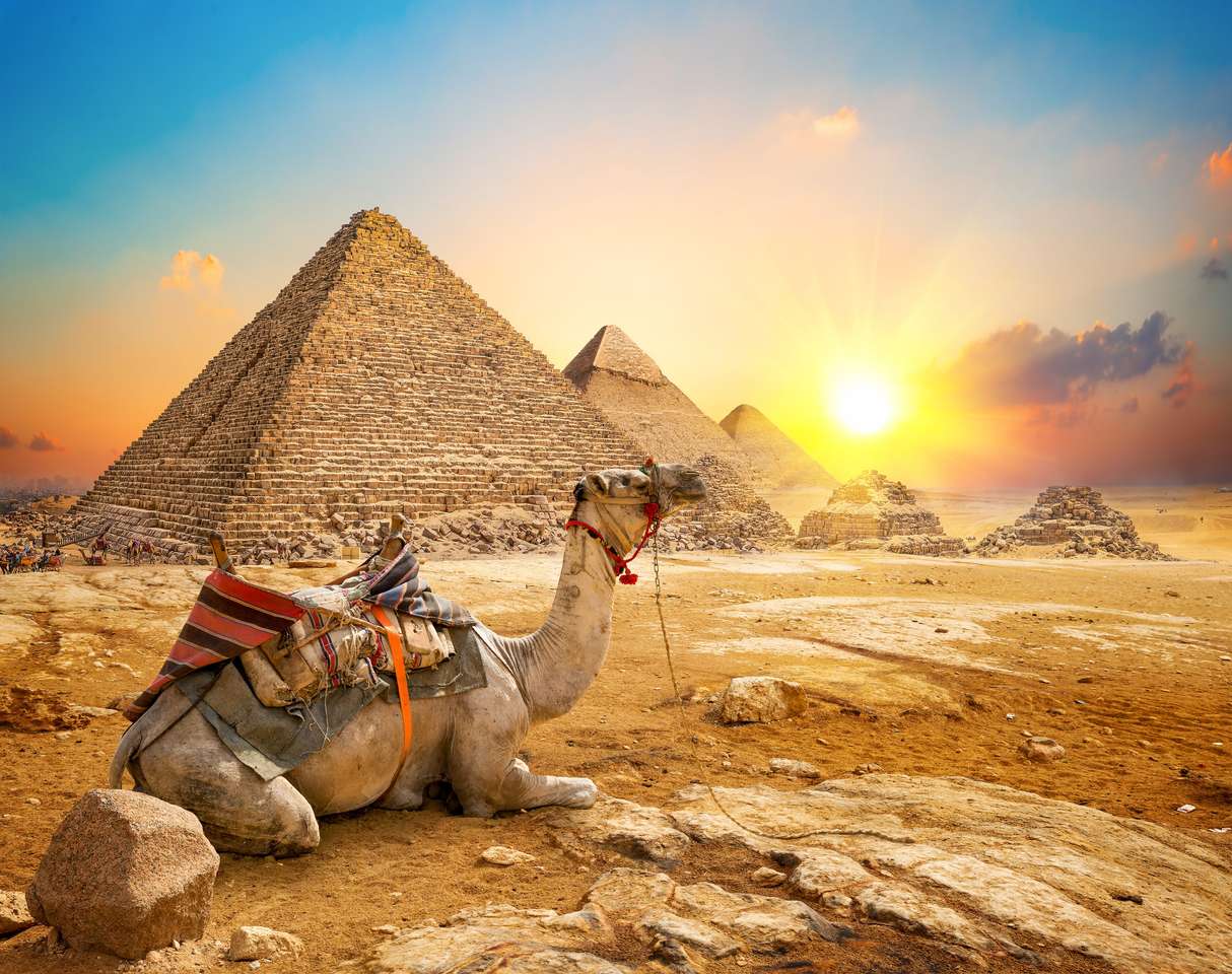 Camello y pirámides rompecabezas