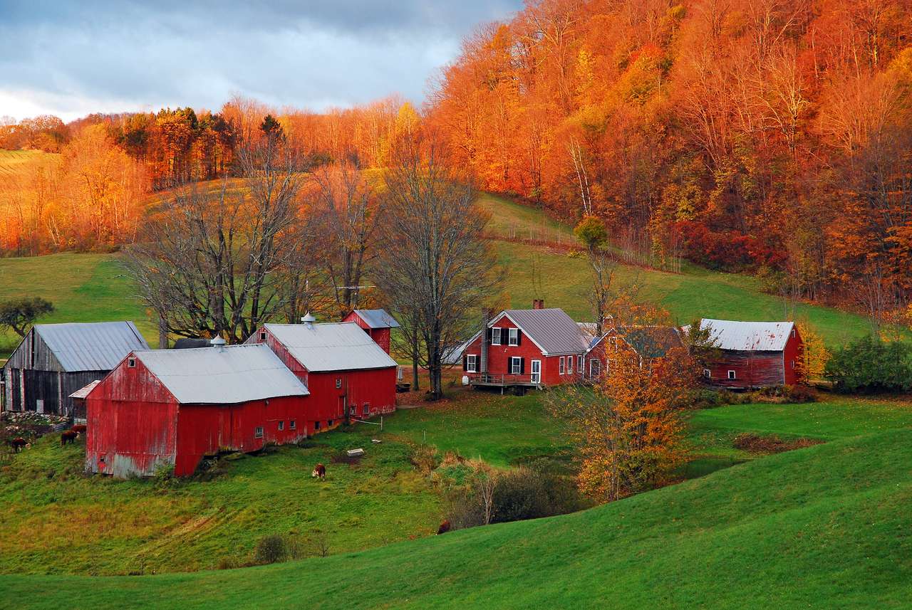 Wiejska scena Vermont późną jesienią puzzle online