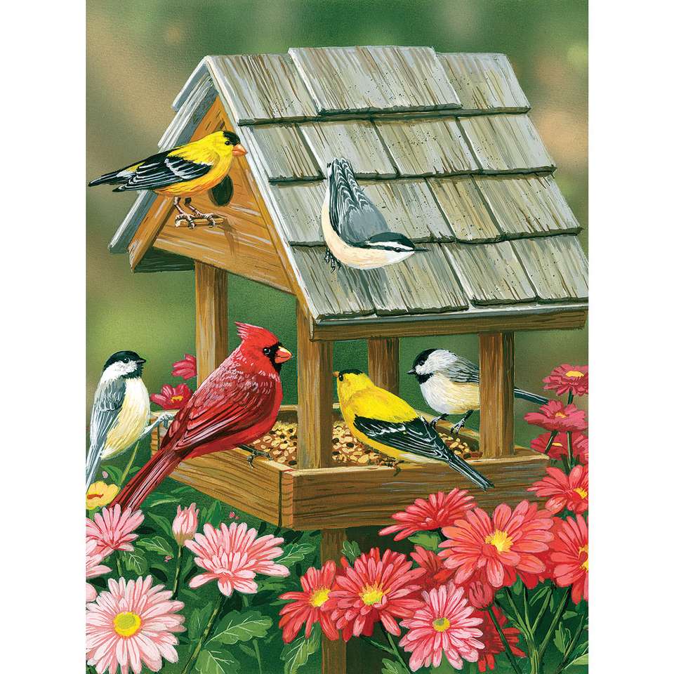 ptaki na podwórku puzzle online
