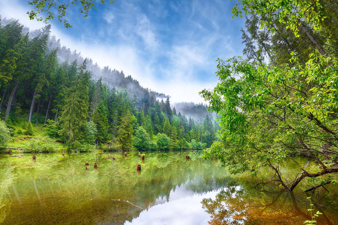 Majestatyczny letni widok na górskie jezioro Lacul Rosu puzzle online