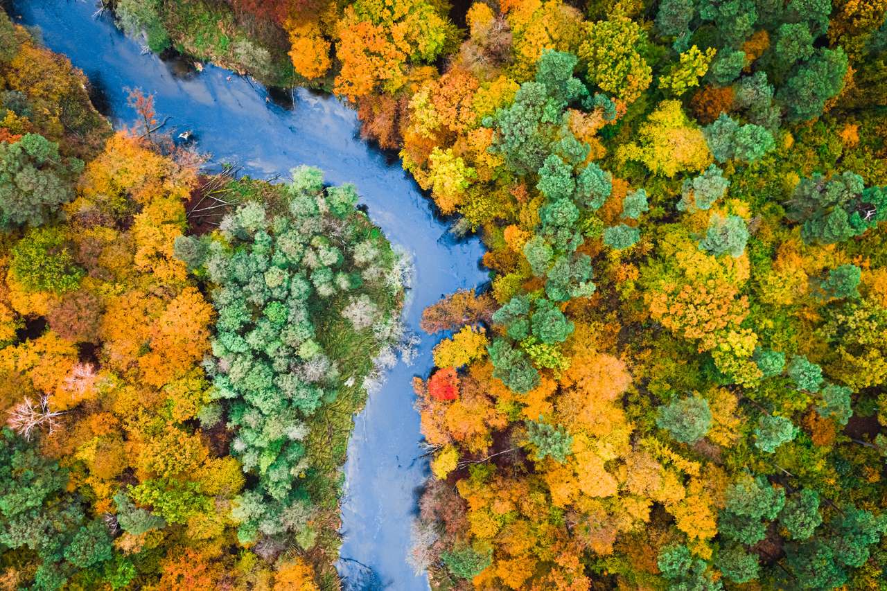 Kolorowy jesienny las i rzeka puzzle online