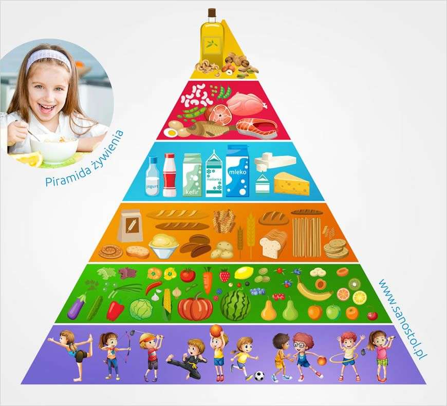 Piramida żywienia puzzle online