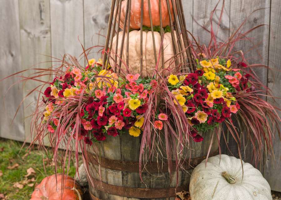 Jesienna dekoracja z kwiatów puzzle online