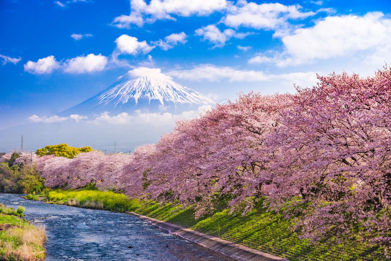 Góra Fuji, Japonia i rzeka na wiosnę. puzzle online