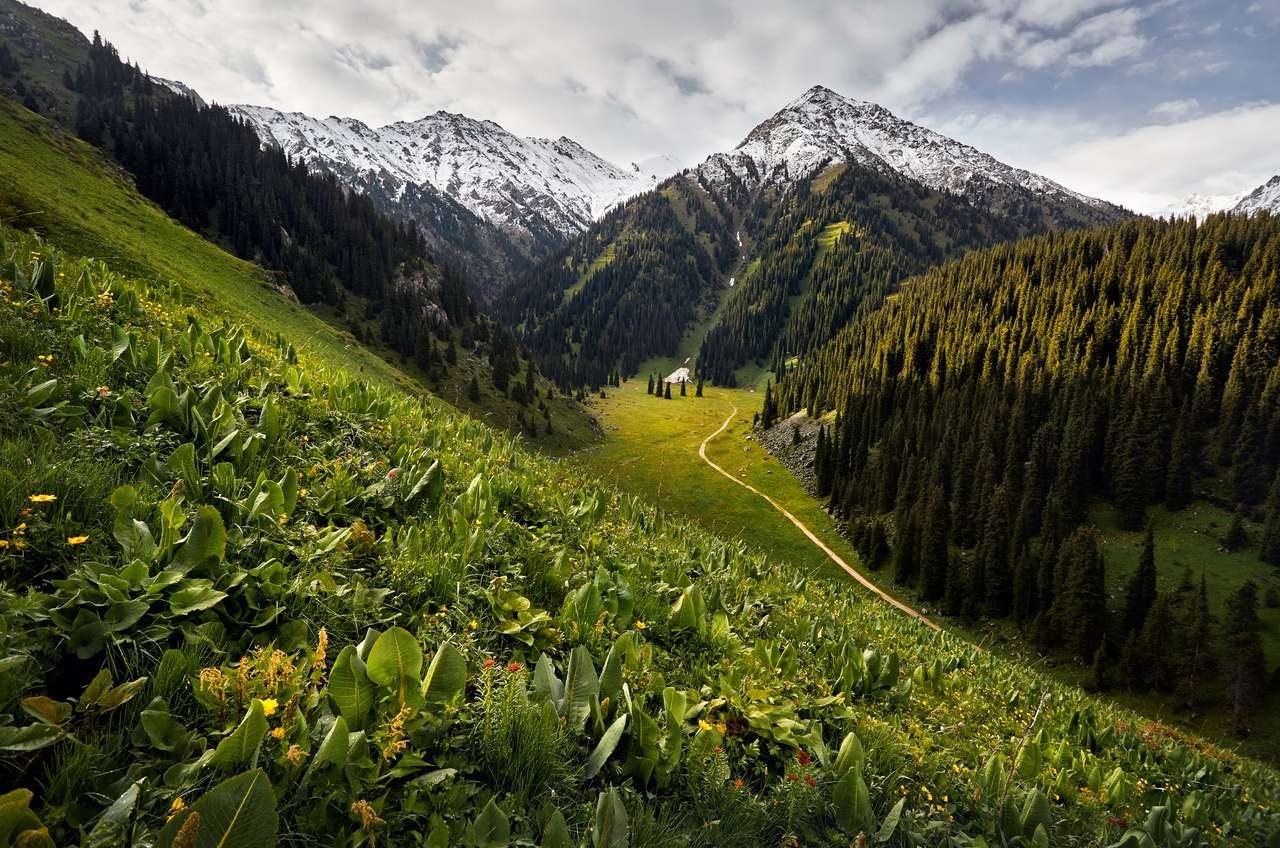 zielona górska dolina w Kazachstanie puzzle online