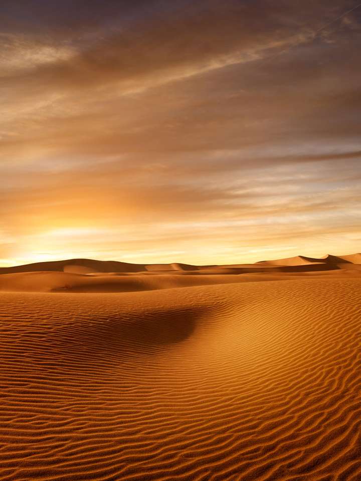 widok na ładne wydmy w Parku Narodowym Sands Dunes puzzle online
