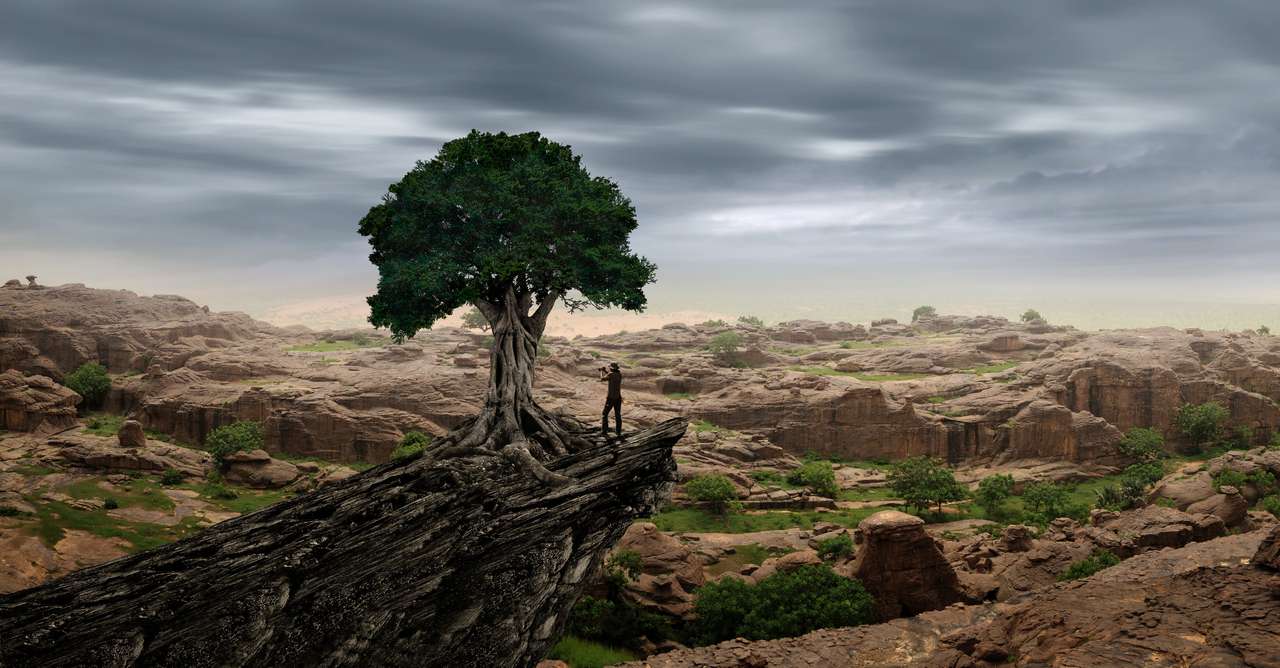 Podróżnik patrzący na afrykański krajobraz puzzle online