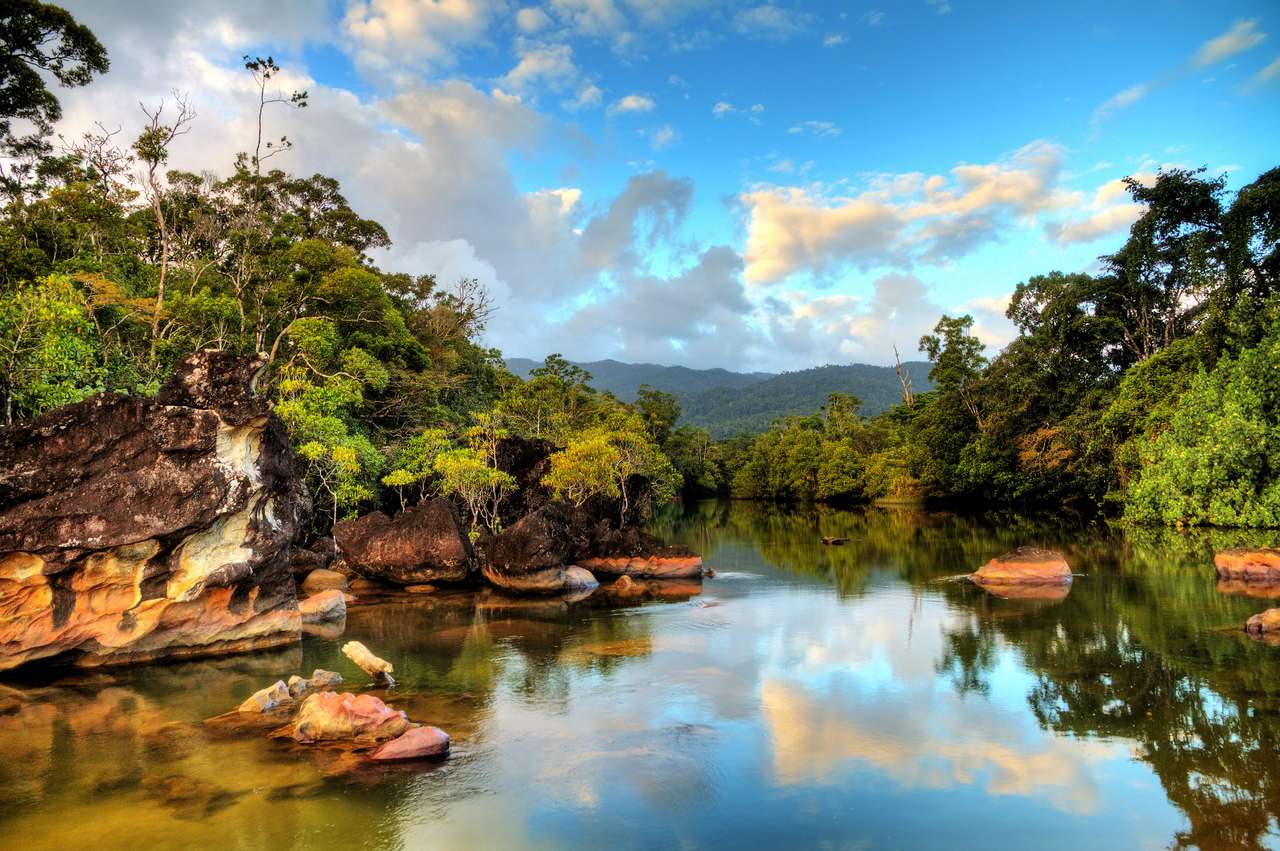 Национальный парк Масоала на Мадагаскаре пазл