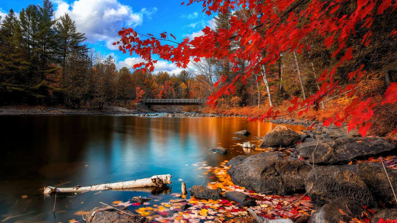 outono no lago quebra-cabeça