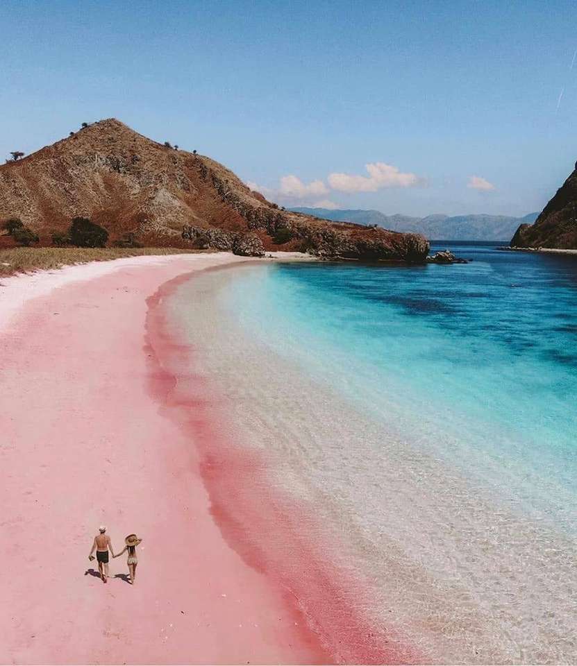 Magiczna różowa plaża na wyspie Komodo puzzle online
