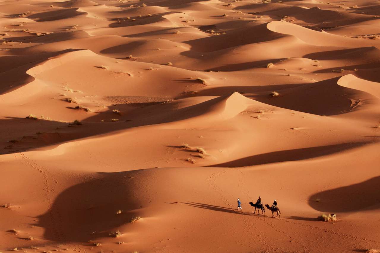wielbłądy niosące turystów na Saharę puzzle online