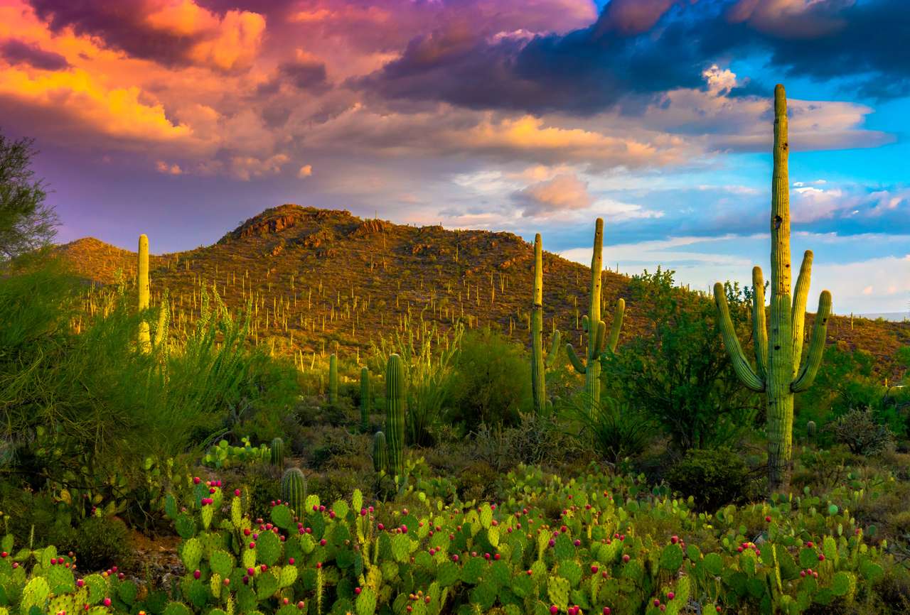 Cactus Saguaro, cactus de ficat, munți și nori puzzle
