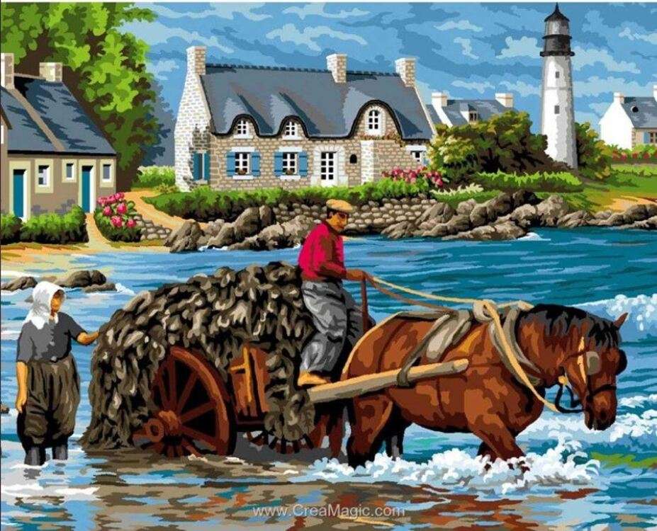 Harvesting seaweed in Brittany jigsaw puzzle