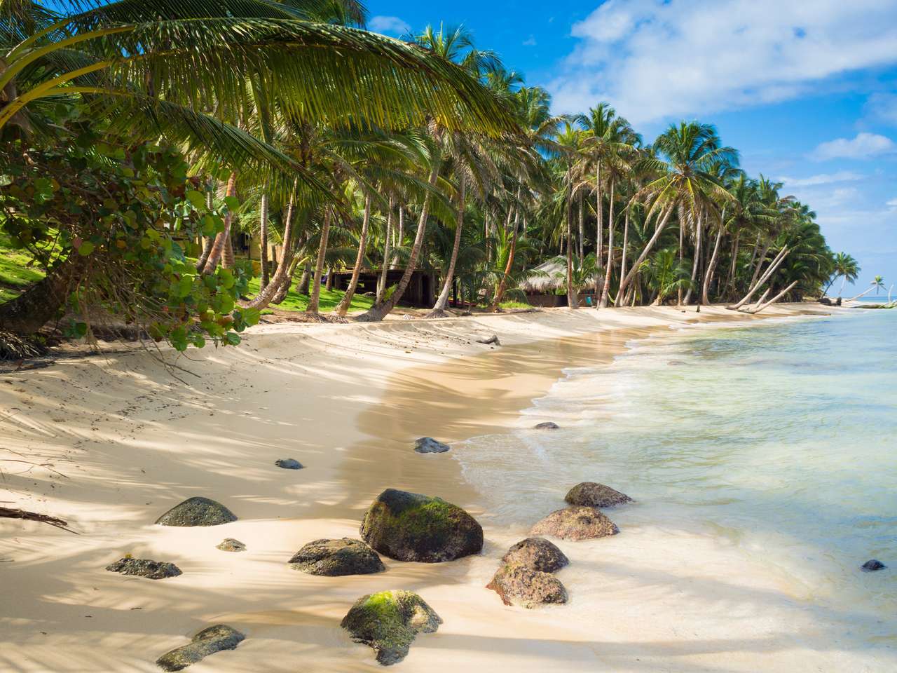 Tropikalna plaża z palmą kokosową na karaibskiej wyspie puzzle online