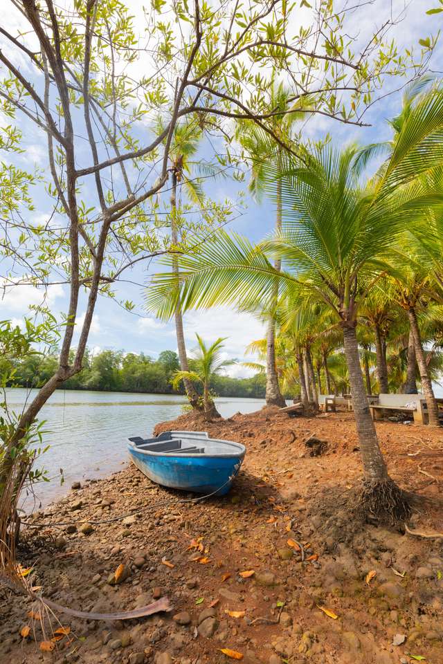 Panama, rzeka Chorcha, drewniana łódka pod palmami puzzle online