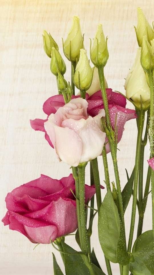 Kwiaty eustchomy z różami puzzle online