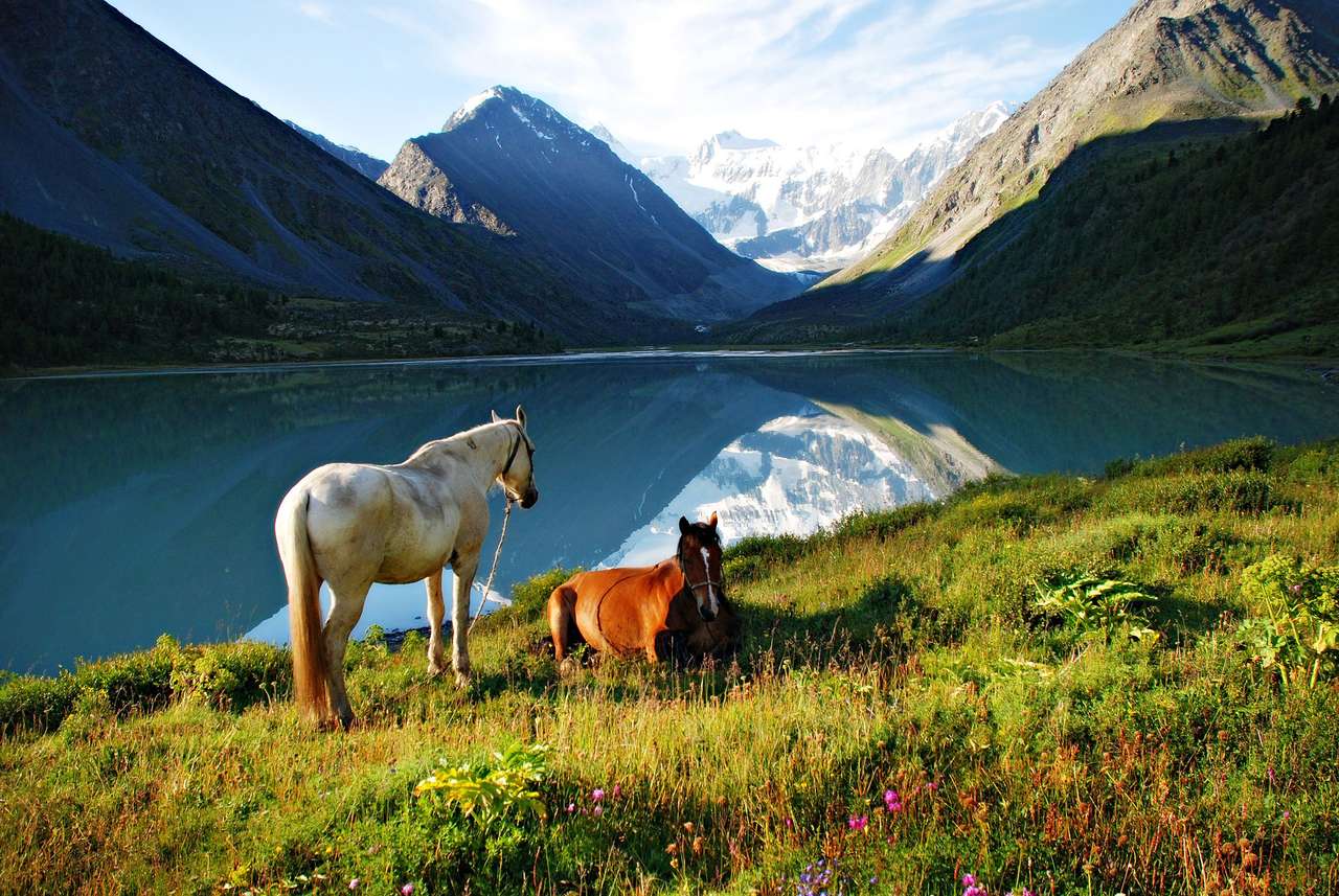 Hala, konie, jezioro Ak-kem, Ałtaj, Rosja puzzle online
