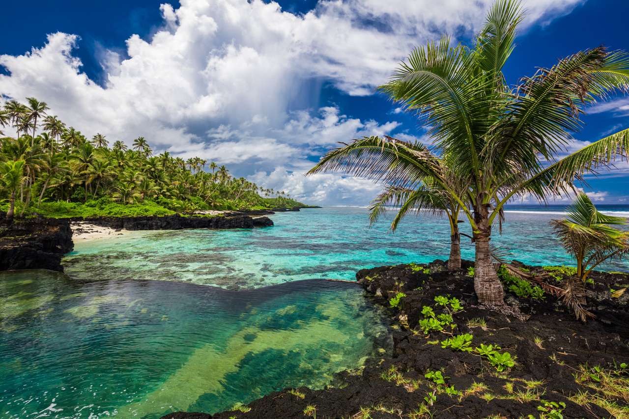 Tętniąca życiem tropikalna plaża z palmami, Upolu, Samoa. puzzle online