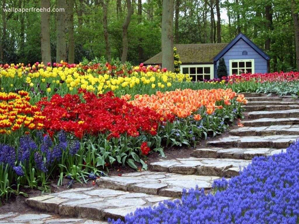 Vacker blomsterträdgård pussel