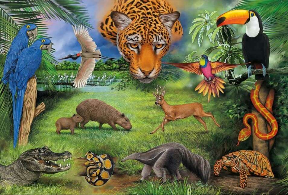 Fauna brazylijska puzzle online