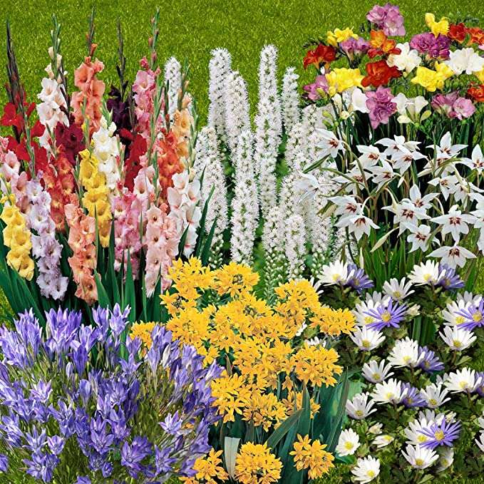 porcja z kwiatami puzzle online