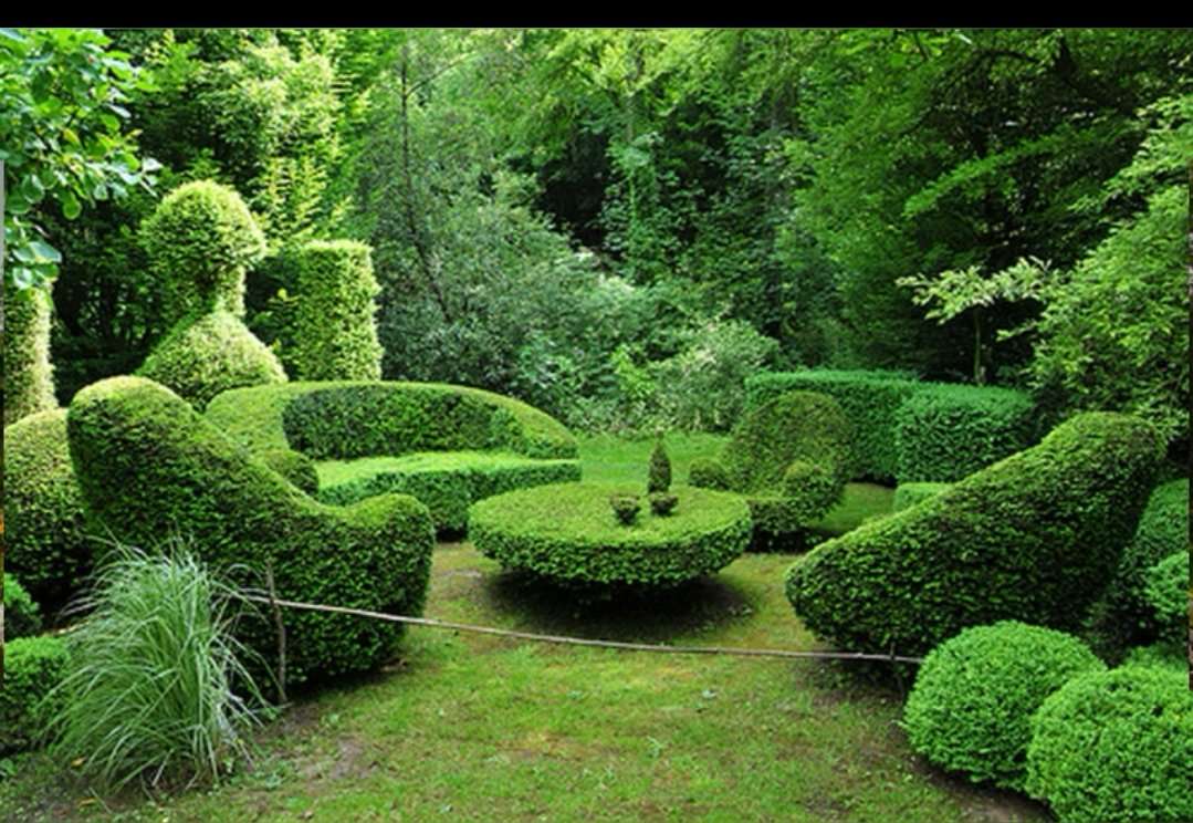 sztuka topiary puzzle online