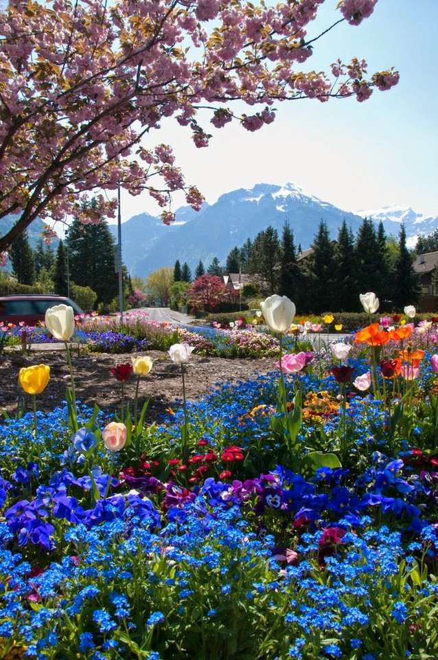 krajobraz z kwiatami puzzle online
