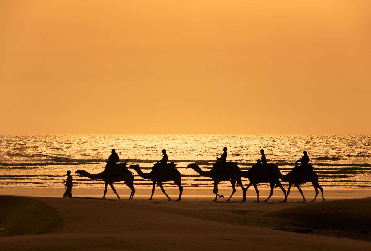Turyści jeżdżą pociągiem wielbłądów na morzu o zachodzie słońca, Maroko puzzle online