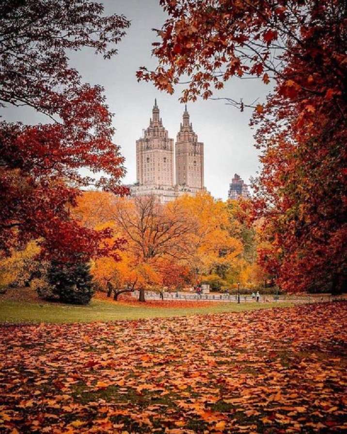Outono em Nova York. quebra-cabeça