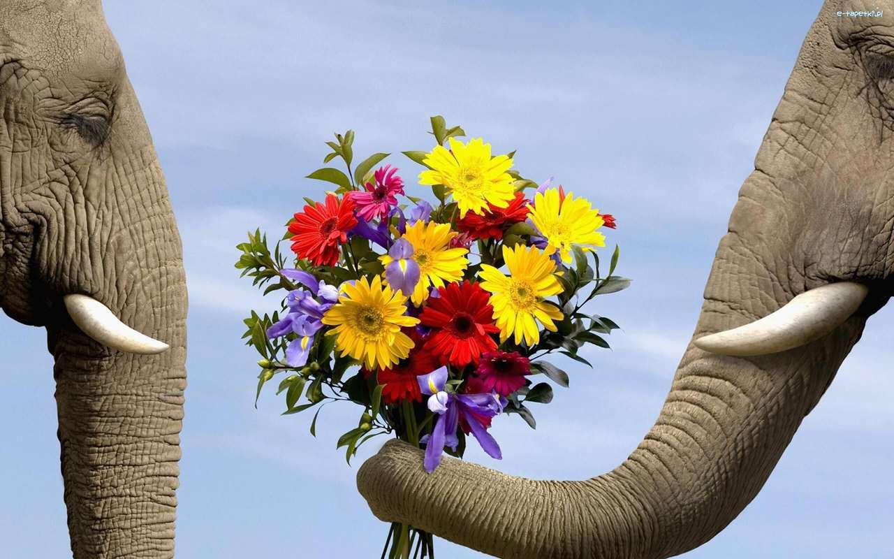 Dwa słonie- bukiet kwiatów puzzle online