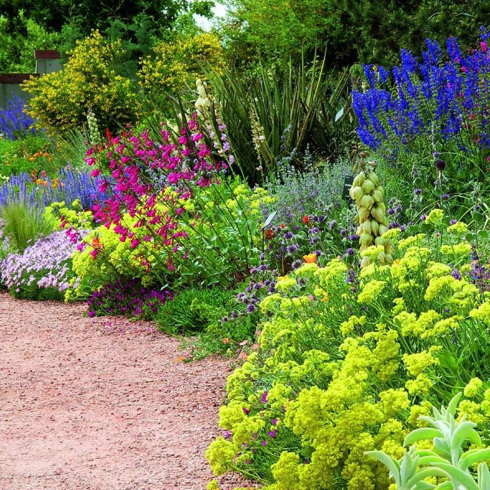 Rabata kwiatowa w ogrodzie puzzle online