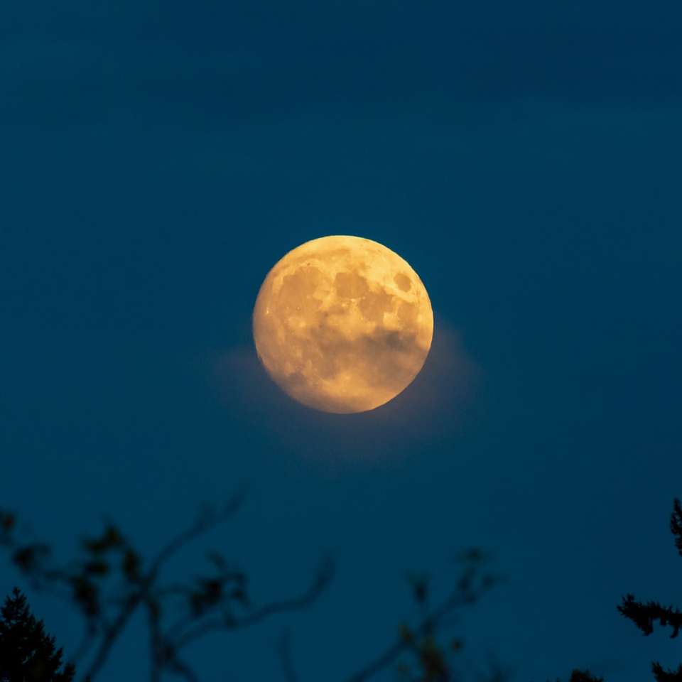 widok pełni księżyca w nocy puzzle online