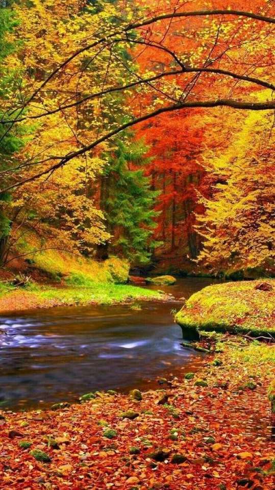 Kolorowy jesienny las puzzle online
