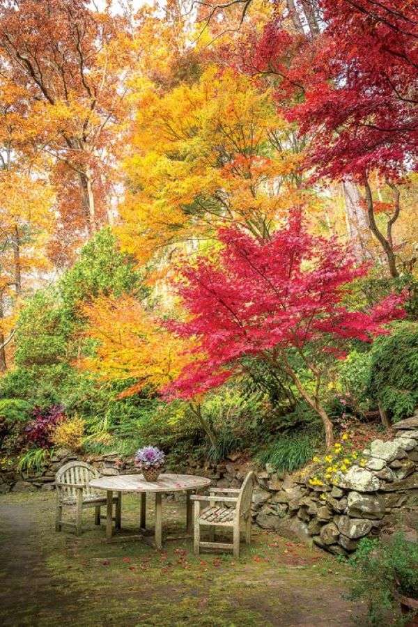 Kącik ogrodowy jesienią puzzle online