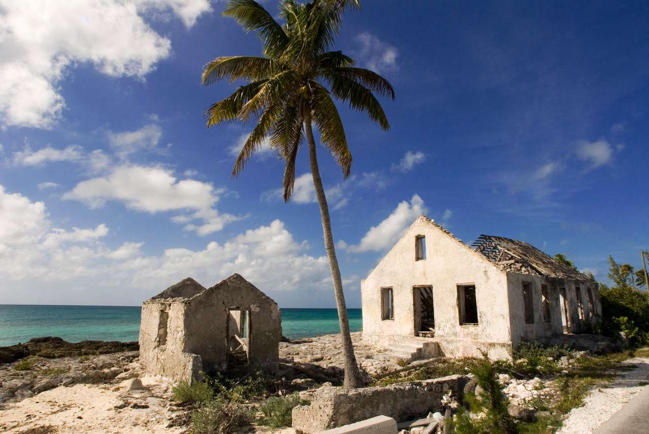 Wyspa Kotów, Bahamy. puzzle online