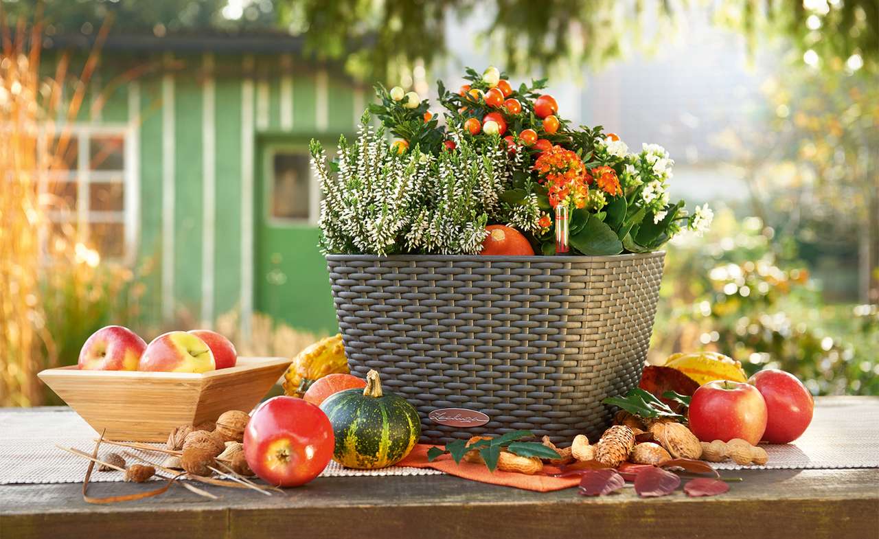 Jesienna dekoracja na stole ogrodowym puzzle online