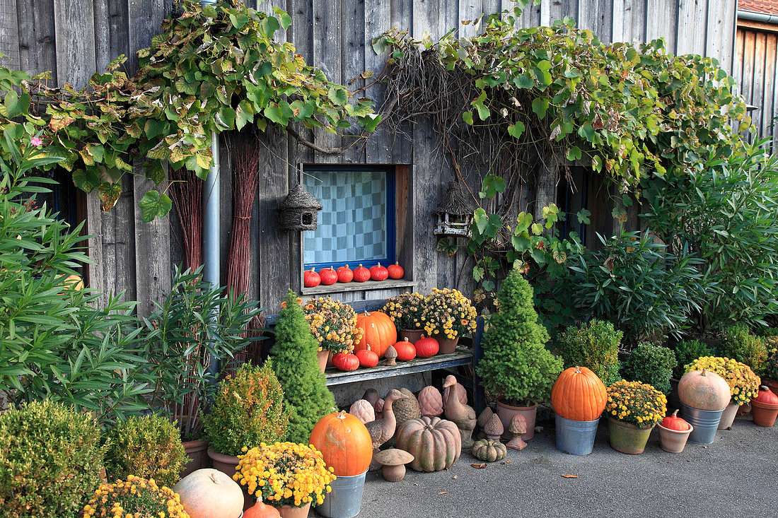 Jesienna dekoracja na drewnianym domu puzzle online