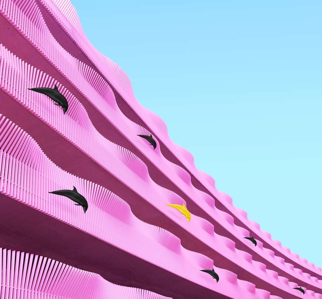 delfin skaczący na różowej powierzchni puzzle online