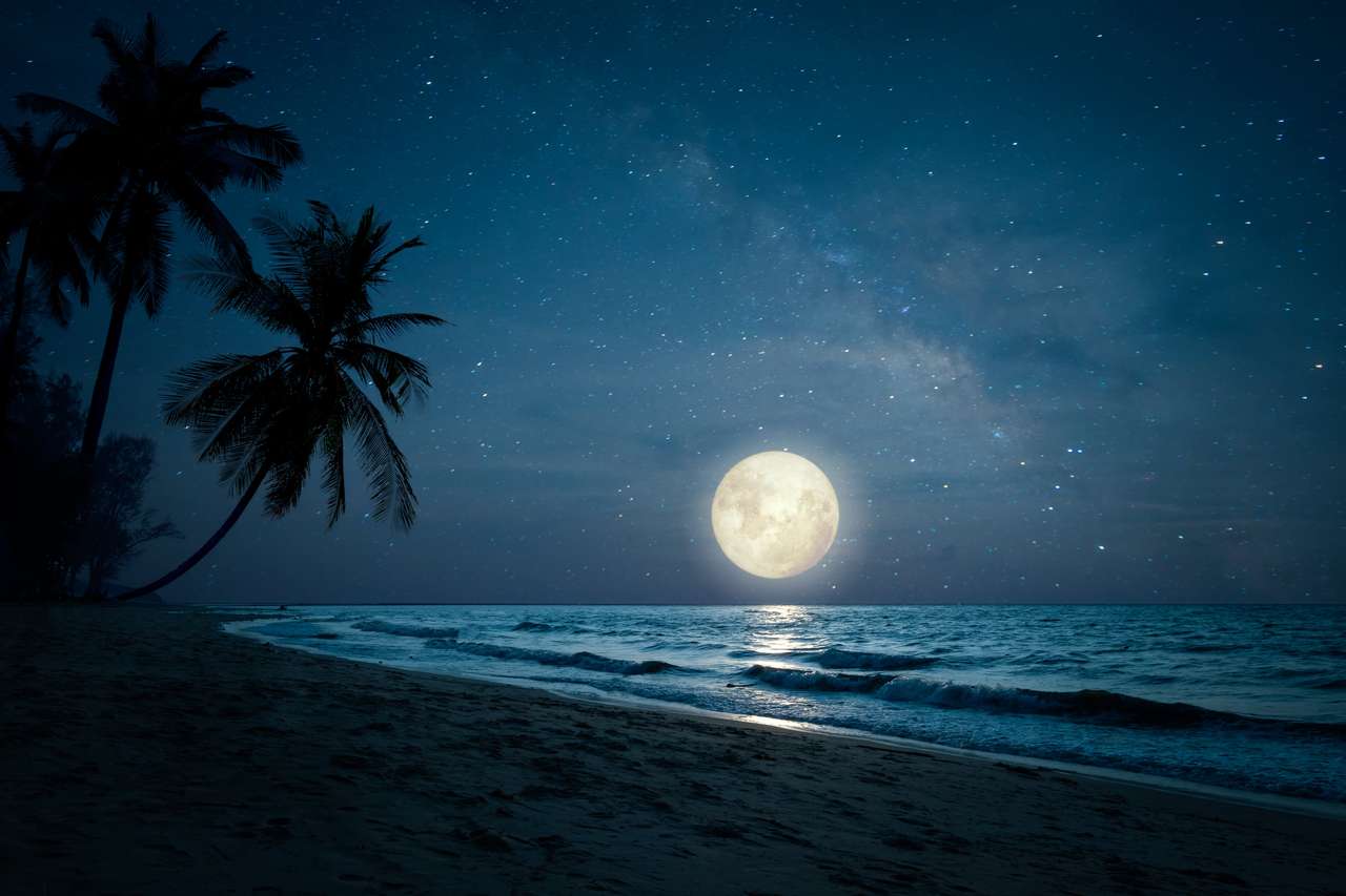 tropikalna plaża przy pełni księżyca puzzle online