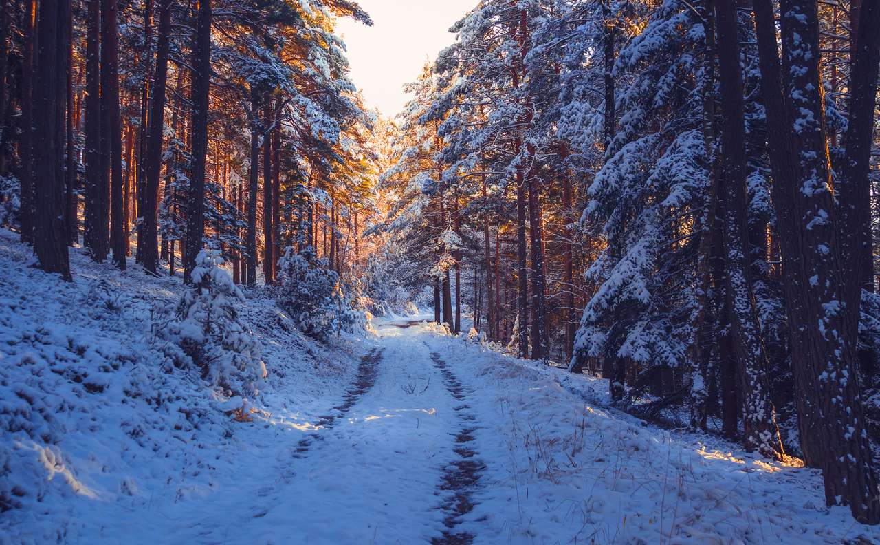 Droga przez zaśnieżony las puzzle online