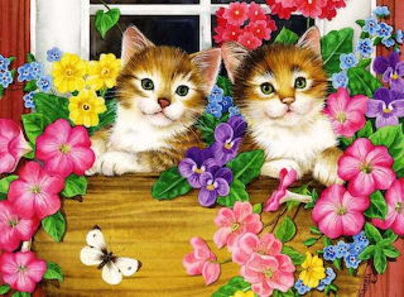 Dwa piękne kociaki wśród kwiatów puzzle online
