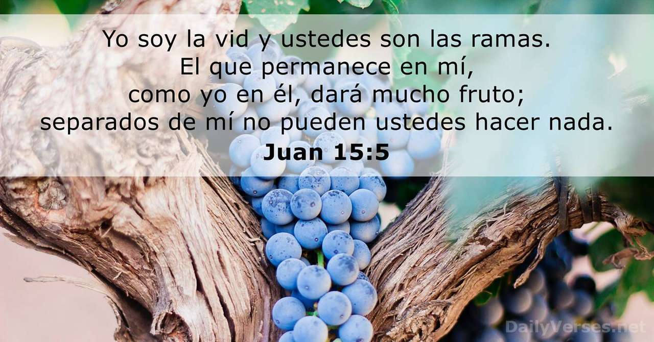 Juan 15:5 puzzle online