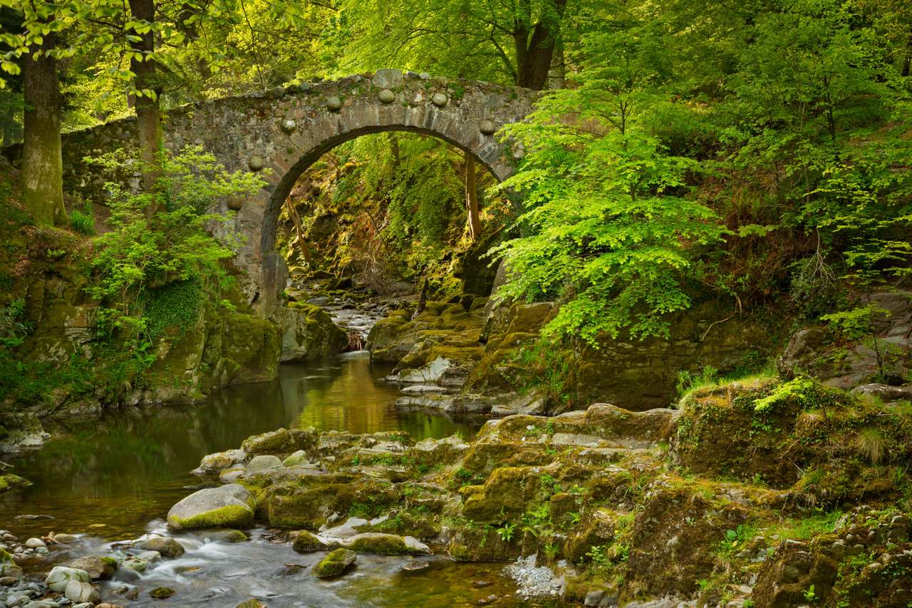 Foley's Bridge nad rzeką Shimna w Tollymore Forest Park w Irlandii Północnej. puzzle online