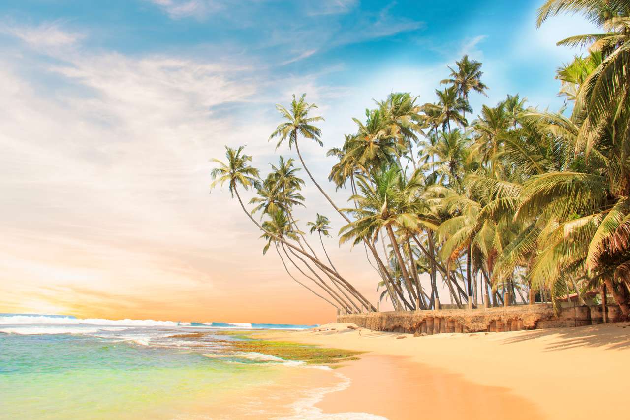 Piękny widok na tropikalną plażę Sri Lanki puzzle online