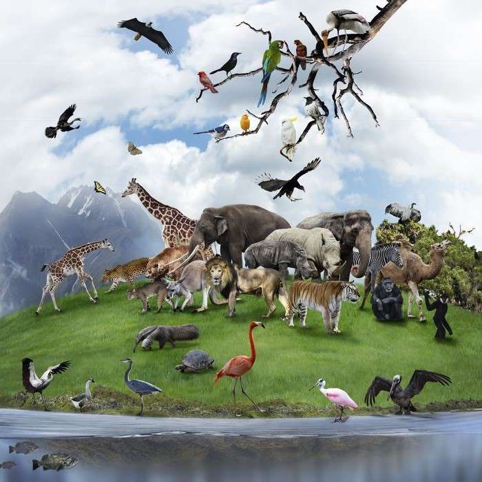 Dzikie zwierzęta... puzzle online