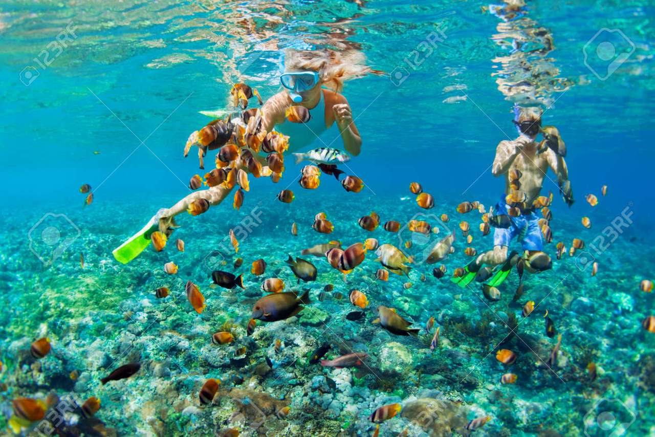 Widoczek rafy koralowej i ludzi nurkujących puzzle online