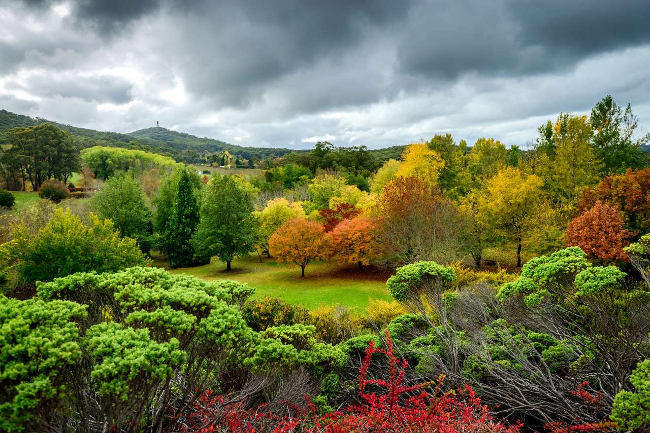 Jesienny krajobraz w deszczu w Adelaide Hills puzzle online