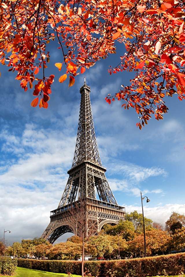 Paryż. Wieża Eiffla puzzle online